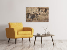Laden Sie das Bild in den Galerie-Viewer, Leinwandbild 2 Leoparden