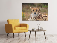 Laden Sie das Bild in den Galerie-Viewer, Leinwandbild Gepard XL