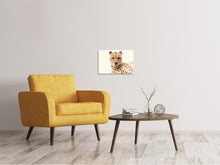 Laden Sie das Bild in den Galerie-Viewer, Leinwandbild Gepard in der Sonne