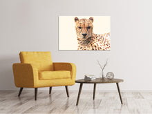 Laden Sie das Bild in den Galerie-Viewer, Leinwandbild Gepard in der Sonne
