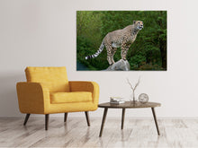 Laden Sie das Bild in den Galerie-Viewer, Leinwandbild Gepard auf dem Sprung