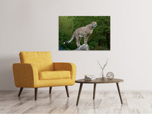 Laden Sie das Bild in den Galerie-Viewer, Leinwandbild Gepard auf dem Sprung