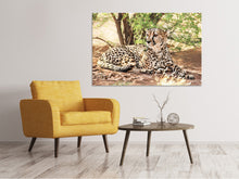 Laden Sie das Bild in den Galerie-Viewer, Leinwandbild Sonnender Gepard