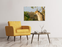 Laden Sie das Bild in den Galerie-Viewer, Leinwandbild Gepard in der Natur
