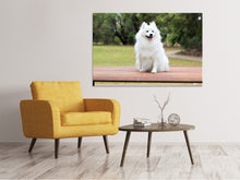 Laden Sie das Bild in den Galerie-Viewer, Leinwandbild Der Spitz als Junghund