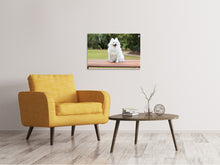 Laden Sie das Bild in den Galerie-Viewer, Leinwandbild Der Spitz als Junghund