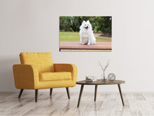 Laden Sie das Bild in den Galerie-Viewer, Leinwandbild Der Spitz als Junghund