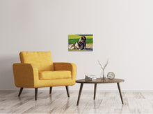 Laden Sie das Bild in den Galerie-Viewer, Leinwandbild 2 Wolfsspitz