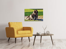 Laden Sie das Bild in den Galerie-Viewer, Leinwandbild 2 Wolfsspitz