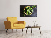 Laden Sie das Bild in den Galerie-Viewer, Leinwandbild Blätter Basilikum