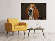 Laden Sie das Bild in den Galerie-Viewer, Leinwandbild Typisch Basset