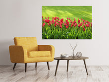 Laden Sie das Bild in den Galerie-Viewer, Leinwandbild Rotes Tulpenfeld im Sonnenlicht