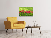 Laden Sie das Bild in den Galerie-Viewer, Leinwandbild Rotes Tulpenfeld im Sonnenlicht