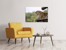 Laden Sie das Bild in den Galerie-Viewer, Leinwandbild Müder Leopard