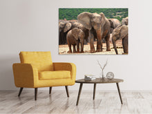 Laden Sie das Bild in den Galerie-Viewer, Leinwandbild Elefantenherde in Afrika