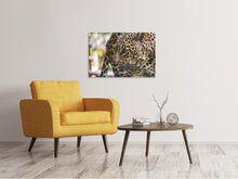 Laden Sie das Bild in den Galerie-Viewer, Leinwandbild Achtung Raubkatze !