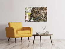 Laden Sie das Bild in den Galerie-Viewer, Leinwandbild Achtung Raubkatze !