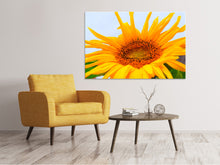 Laden Sie das Bild in den Galerie-Viewer, Leinwandbild Grosse Sonnenblume