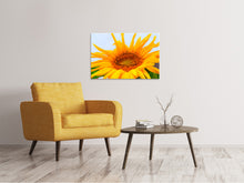 Laden Sie das Bild in den Galerie-Viewer, Leinwandbild Grosse Sonnenblume