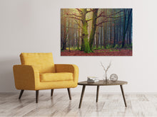 Laden Sie das Bild in den Galerie-Viewer, Leinwandbild Alleine im Wald