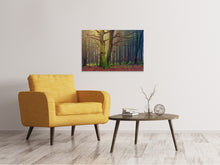 Laden Sie das Bild in den Galerie-Viewer, Leinwandbild Alleine im Wald