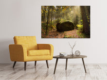 Laden Sie das Bild in den Galerie-Viewer, Leinwandbild Der Fels im Wald