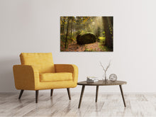 Laden Sie das Bild in den Galerie-Viewer, Leinwandbild Der Fels im Wald