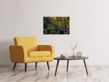 Laden Sie das Bild in den Galerie-Viewer, Leinwandbild Die Wald Brücke