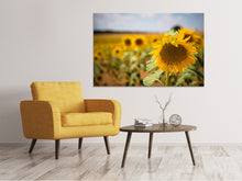 Laden Sie das Bild in den Galerie-Viewer, Leinwandbild Eine Sonnenblume im Feld