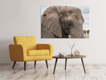Laden Sie das Bild in den Galerie-Viewer, Leinwandbild XL Elefant