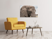 Laden Sie das Bild in den Galerie-Viewer, Leinwandbild XL Elefant