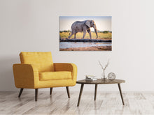 Laden Sie das Bild in den Galerie-Viewer, Leinwandbild Elefant in der Natur
