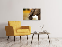 Laden Sie das Bild in den Galerie-Viewer, Leinwandbild  Elefant Close up