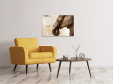 Laden Sie das Bild in den Galerie-Viewer, Leinwandbild Portrait eines Elefant