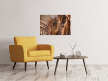 Laden Sie das Bild in den Galerie-Viewer, Leinwandbild Der Blick des Elefanten