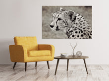 Laden Sie das Bild in den Galerie-Viewer, Leinwandbild Schöner Gepard