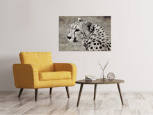 Laden Sie das Bild in den Galerie-Viewer, Leinwandbild Schöner Gepard