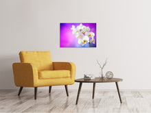 Laden Sie das Bild in den Galerie-Viewer, Leinwandbild Flower Power Orchidee