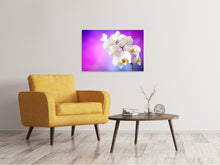 Laden Sie das Bild in den Galerie-Viewer, Leinwandbild Flower Power Orchidee