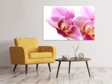 Laden Sie das Bild in den Galerie-Viewer, Leinwandbild Prächtige Phalaenopsis