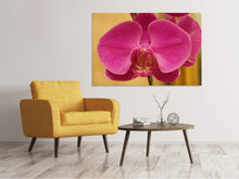 Laden Sie das Bild in den Galerie-Viewer, Leinwandbild Close up Orchidee in pink