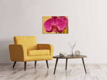 Laden Sie das Bild in den Galerie-Viewer, Leinwandbild Close up Orchidee in pink