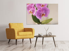 Laden Sie das Bild in den Galerie-Viewer, Leinwandbild Orchideen mit lila Blüten in XL