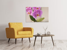 Laden Sie das Bild in den Galerie-Viewer, Leinwandbild Orchideen mit lila Blüten in XL
