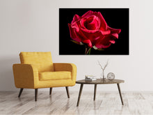 Laden Sie das Bild in den Galerie-Viewer, Leinwandbild Die Blume der Liebe