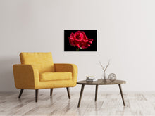Laden Sie das Bild in den Galerie-Viewer, Leinwandbild Die Blume der Liebe