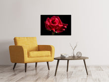 Laden Sie das Bild in den Galerie-Viewer, Leinwandbild Die Blume der Liebe