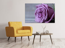 Laden Sie das Bild in den Galerie-Viewer, Leinwandbild Rose in Lila XXL