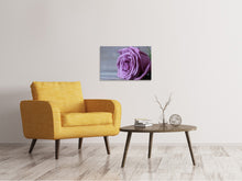 Laden Sie das Bild in den Galerie-Viewer, Leinwandbild Rose in Lila XXL