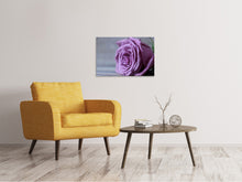 Laden Sie das Bild in den Galerie-Viewer, Leinwandbild Rose in Lila XXL